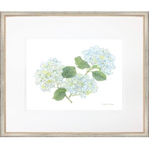 DCW- HYDRANGEA 3